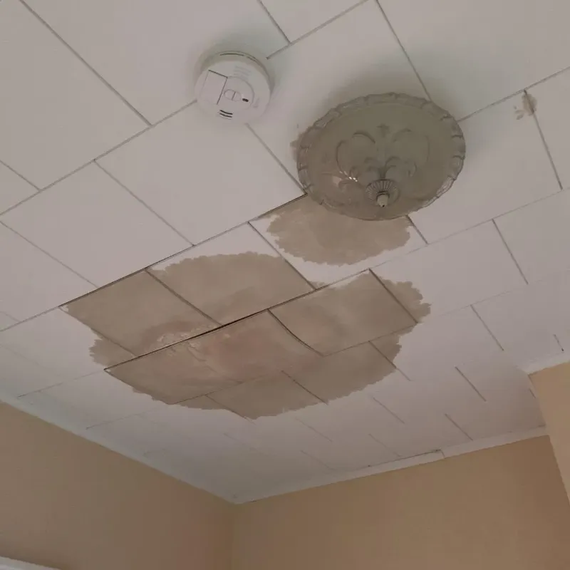 Ceiling Water Damage Repair in Nanticoke, PA