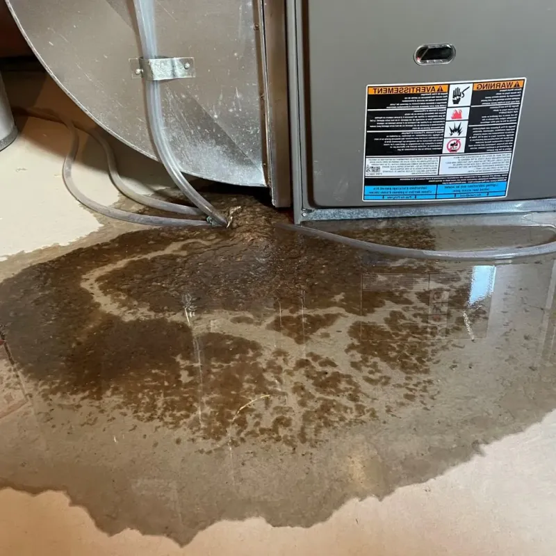 Pipe Burst and Leak Restoration in Nanticoke, PA