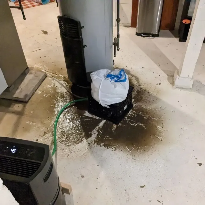 Sewage Backup Cleanup Service in Nanticoke, PA